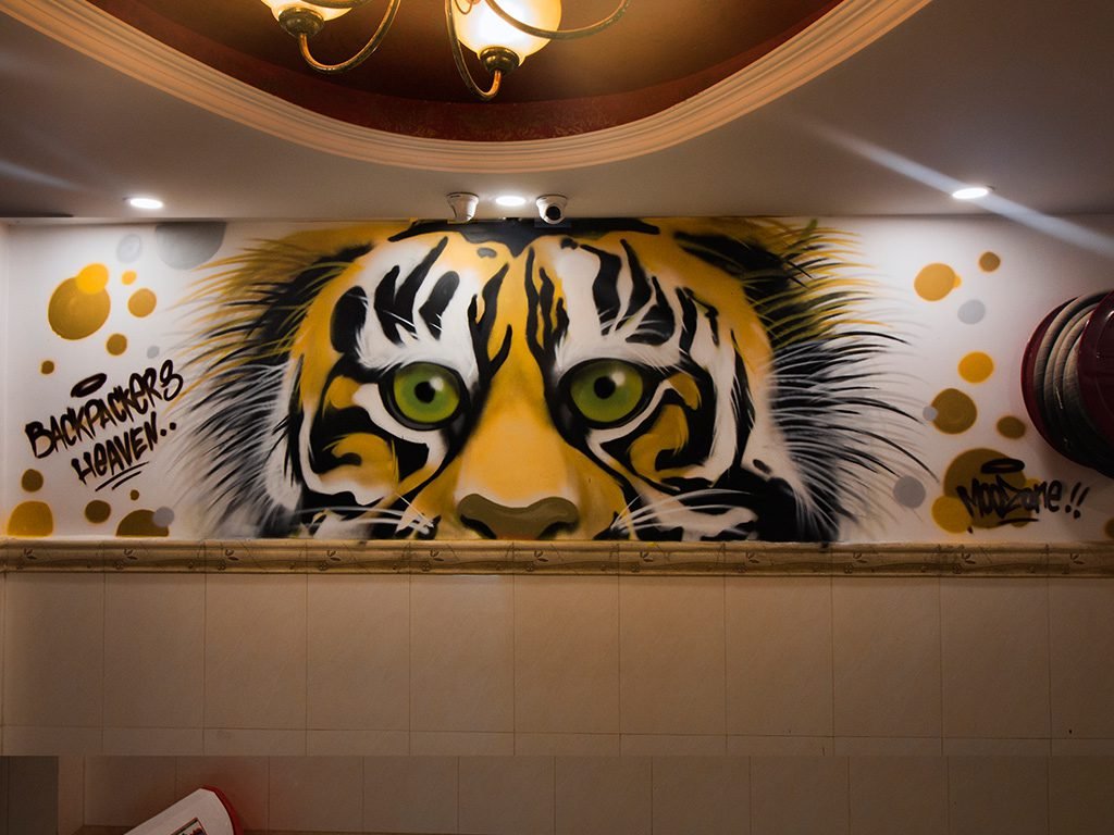 tiger-mooz-backpacker-heaven-delhi-best-graffiti-india