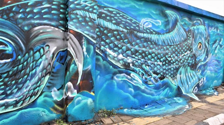 indore-street-art-wicked-broz-holkar-college-zake