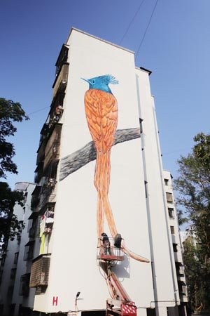 Asian Flycatcher mural by Shirin Shaikh at Lokdarshan society, Marol in Mumbai